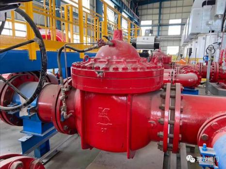 冠龙“献”身国家清洁能源 冠龙“献”身国家清洁能源