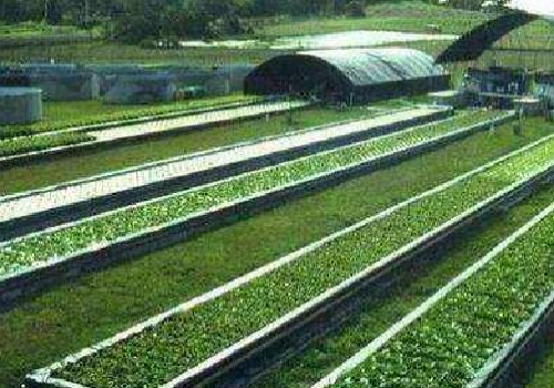 ݶͶйũҵйũҵҵ·չ