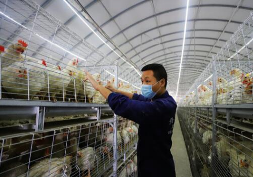 ǱϺ繫˾Ƴ“Ϻ絾”̬ģʽδƳʵ‘ũ’ 