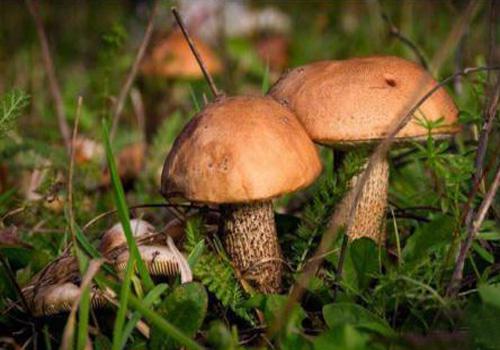 ʱ8꣬ｨȫΨһţξз