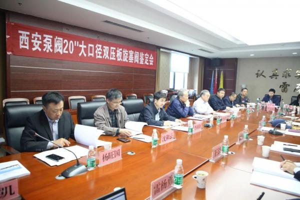 ÷ܳNPS20 ھ˫ѹ˳ͨ²Ʒ