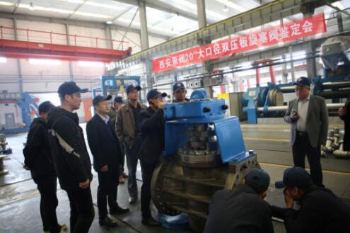 ÷ܳNPS20 ھ˫ѹ˳ͨ²Ʒ