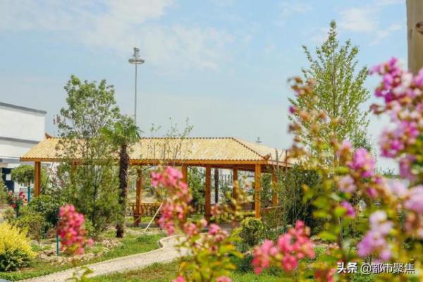 12下载.jpg 12下载.jpg