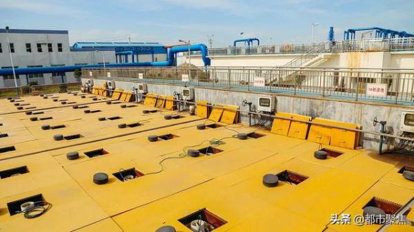 8下载.jpg 8下载.jpg