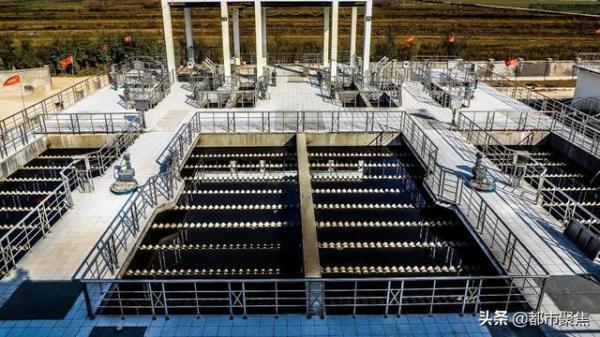 7下载.jpg 7下载.jpg