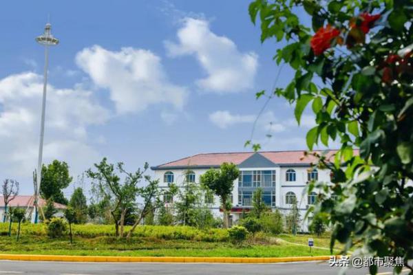 13下载.jpg 13下载.jpg