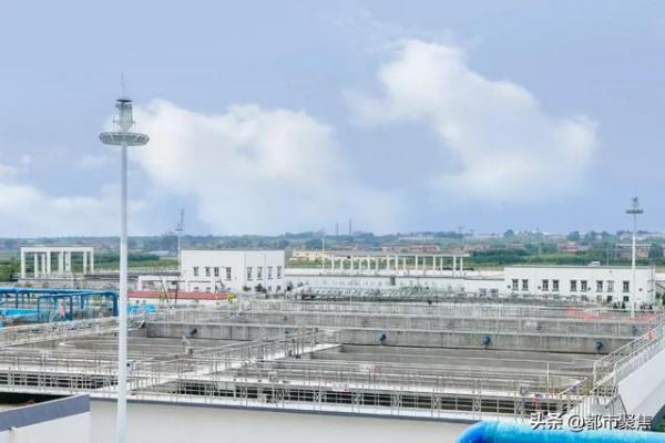 9下载.jpg 9下载.jpg