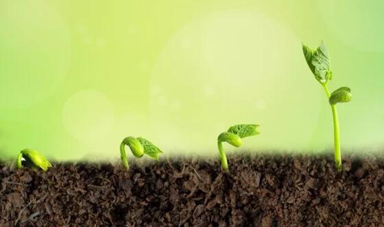 1635731032257773.jpg 2.jpg