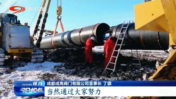 成高阀门丁骐:制造业单项冠军的秘诀 成高阀门丁骐:制造业单项冠军的秘诀