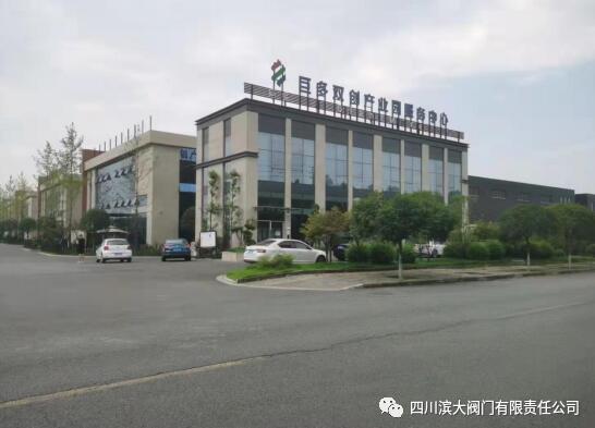 (四川滨大阀门有限责任公司园区新建基地图片1)