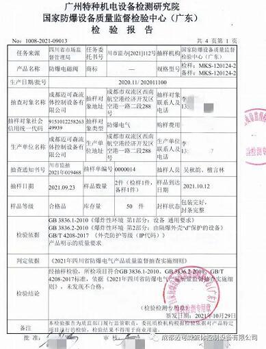 产品质量监督抽查检验报告 产品质量监督抽查检验报告