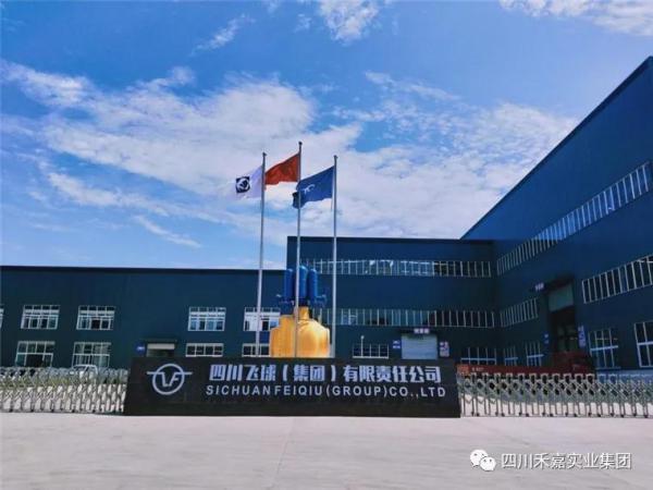 飞球公司 飞球公司