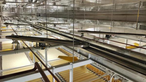 “传统条状米面制品智能化加工关键技术装备研发与集成应用”项目  “传统条状米面制品智能化加工关键技术装备研发与集成应用”项目