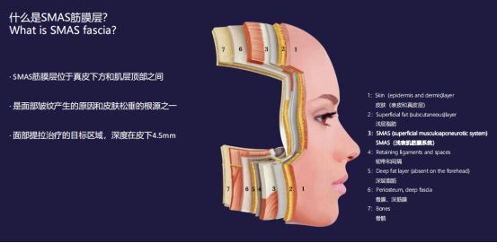 1640852636553518.png image.png