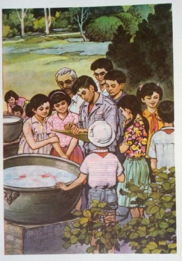 热搜第一!人教版教材配图引争议 热搜第一!人教版教材配图引争议