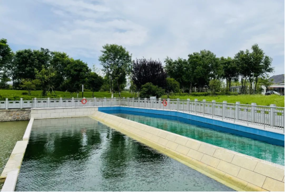 1657519409808664.png image.png