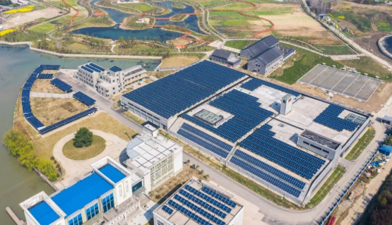 1657519439942042.png image.png