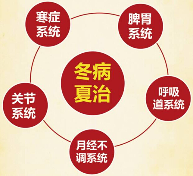 内外同调五大系统——健来福冬病夏治调理月火爆报名中! 内外同调五大系统——健来福冬病夏治调理月火爆报名中!