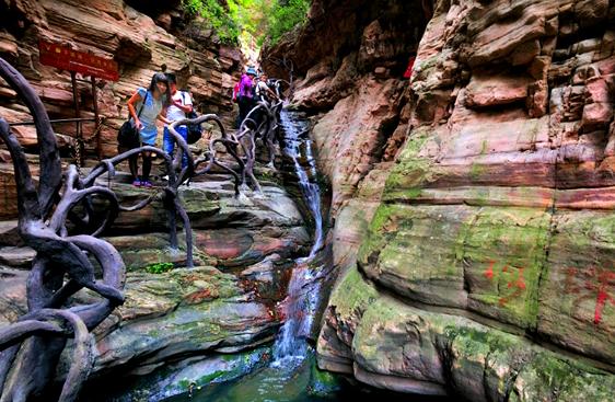 1467965975452853.jpg 3.jpg