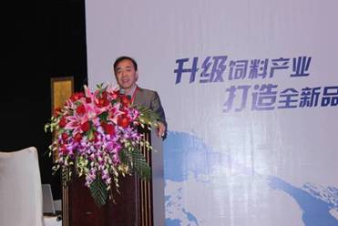 clip_image006.jpg clip_image006.jpg