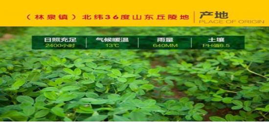 1470282347280061563.png 中民普健—福祉花生油,古法物理榨油