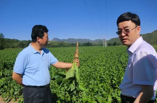 各界领导纷纷视察正生集团