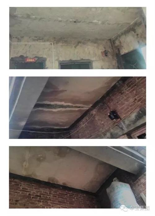 33.webp.jpg 33.webp.jpg