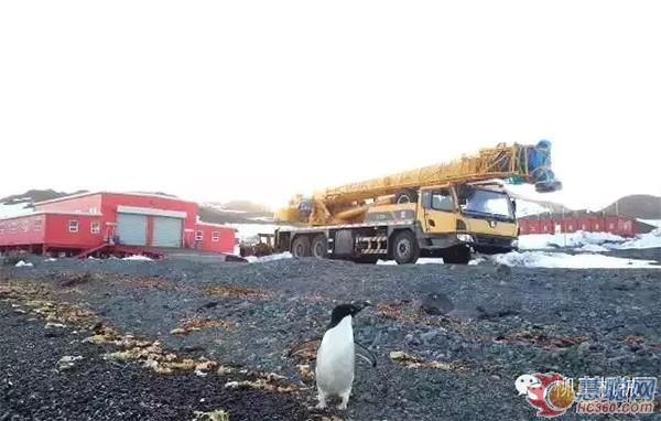 企鹅与柳工的亲密接触