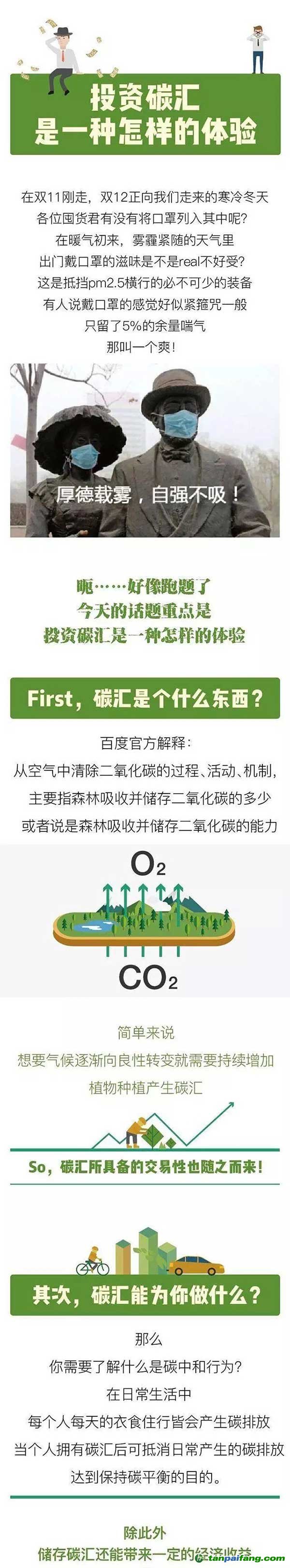 投资碳汇是一种怎样的体验?
