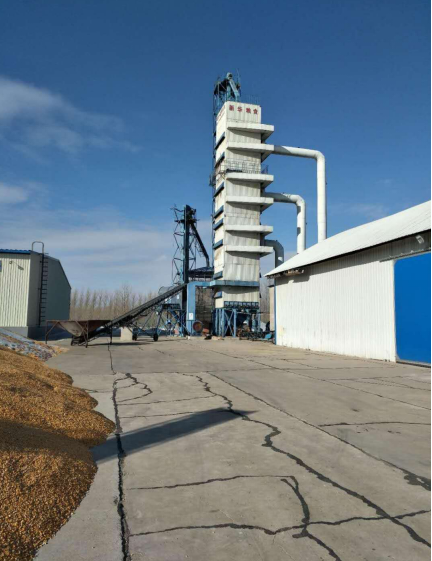 张华打造中国绿色农产品网上平台发展互联网新思路