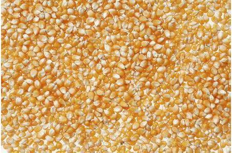 张华打造中国绿色农产品网上平台发展互联网新思路