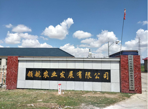 张华打造中国绿色农产品网上平台发展互联网新思路