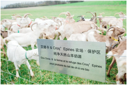 1548063103341475.png blob.png