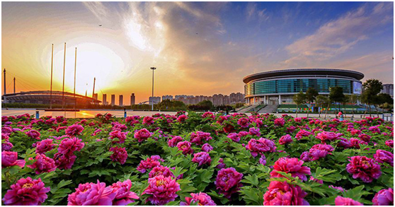 1554974824748683.png blob.png