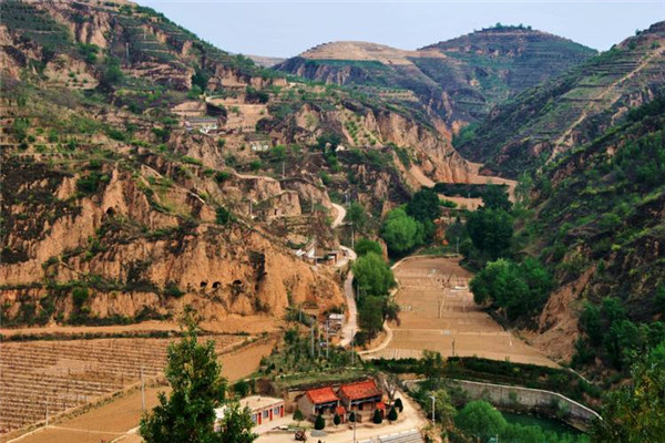 1559801805598425.jpg timg (5).jpg