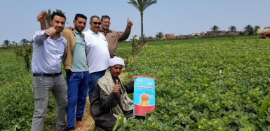 1573179990403212.png image.png