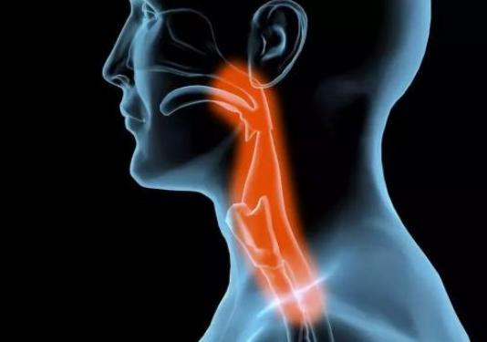 图片2.jpg 图片2.jpg